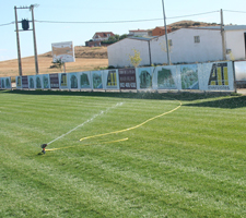 Campo de f�tbol Roales del Pan