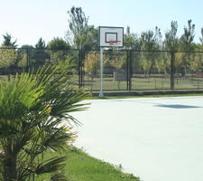 Colegio 