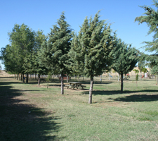 Merendero Roales del Pan