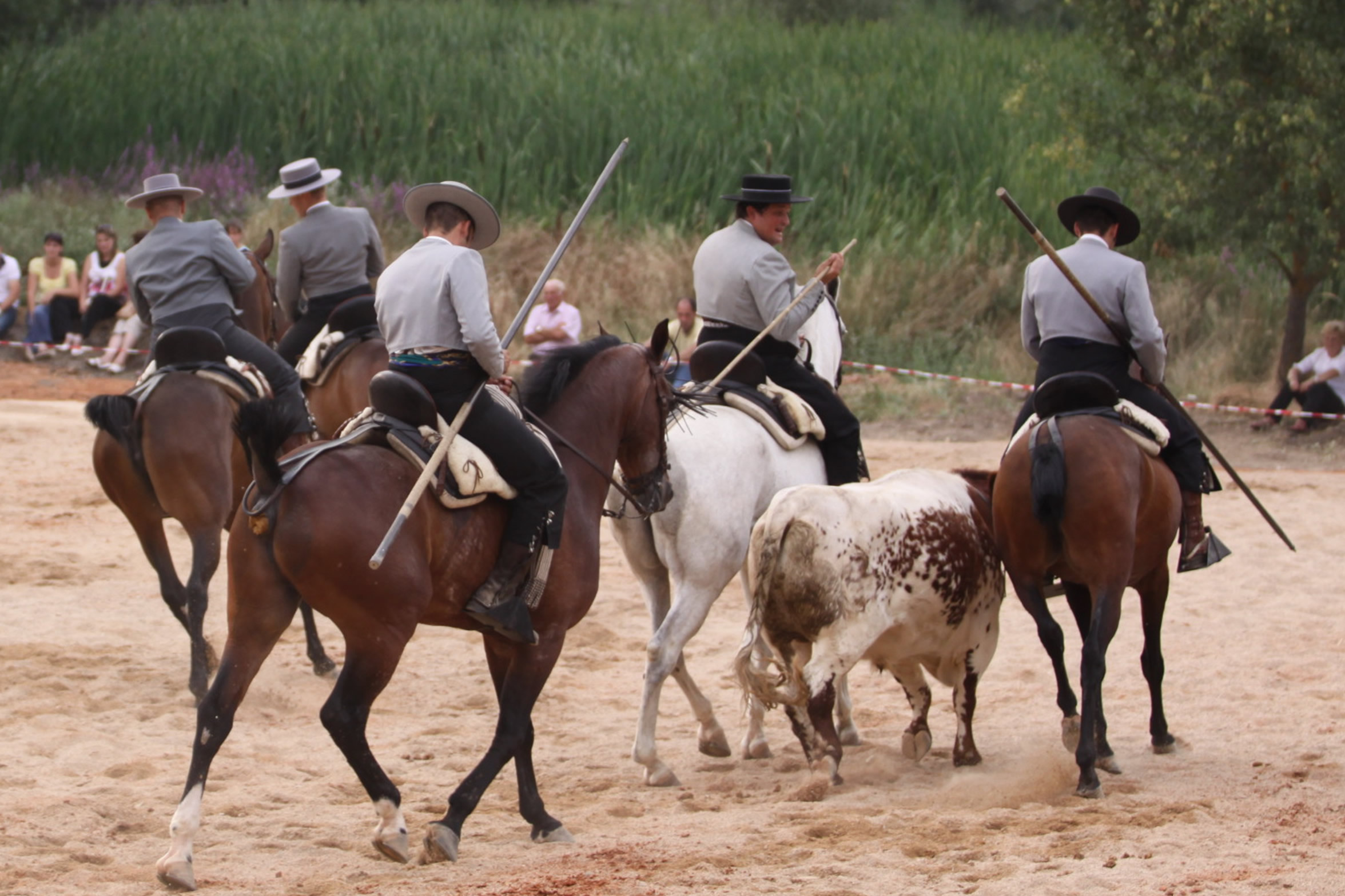 Fiestas del Cubo de la Tierra del Vino