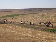 Marcha Paralela