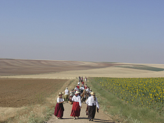 Marcha paralela