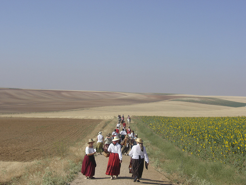 Marcha paralela