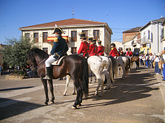 Marcha paralela