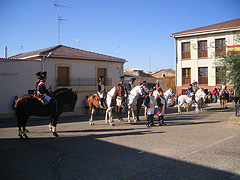 Marcha paralela