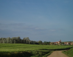 Paisaje Villalobos 2