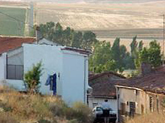 Campo de cereal