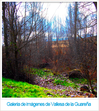 Banner de portada para la galer�a de im�genes