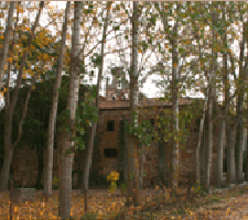 Arboleda