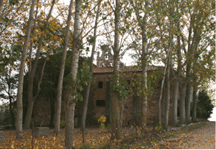 En la foto se aprecia la bella arboleda que rodea a la ermita, lugar donde se celebra la merienda.
